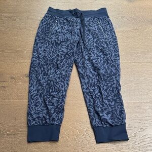 Athleta Trekkie North Printed Crop Jogger Size 4 blue Athleisure Pants